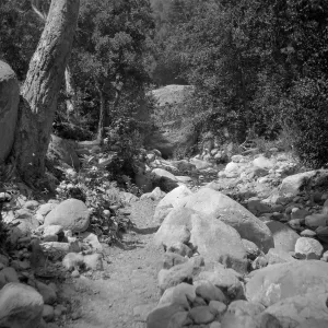 Mission Creek, creek trail?