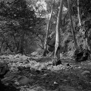 Mission Creek, probably an early view