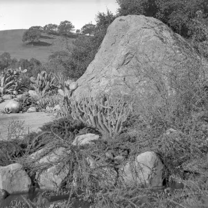 Early view of the Blaksley Boulder, note small pool at base