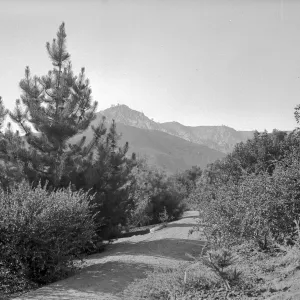Historic Foothill trail just west of Mission Canyon Road