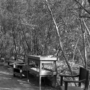 Historic Library and bookshop, wood benches, chairs