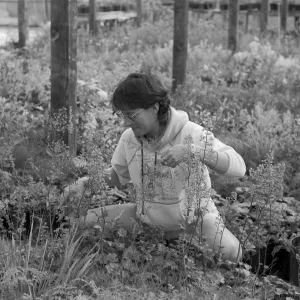 A black and white photo of a woman crouching among nursery plants, tending or inspecting foliage while wearing a hoodie.