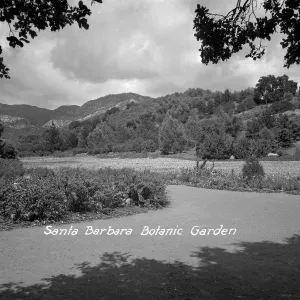 Meadow after 1940