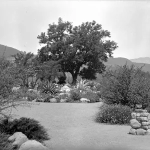 Photo of pond from early 1930s before construction of Kiosk