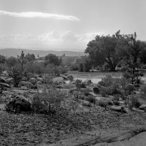Early view of historic lake in upper Meadow