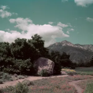 View of Meadow