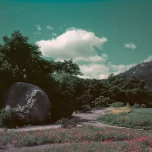 View of Meadow