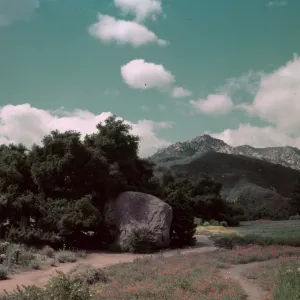View of Meadow