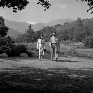 View of Meadow and pond