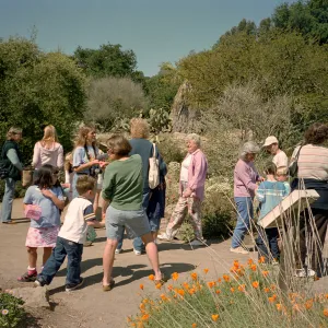 13th Annual Garden Egg Hunt