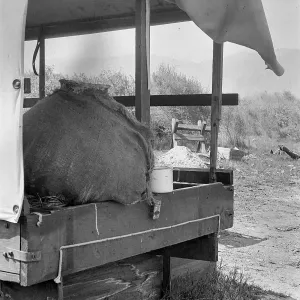 Palm Springs, canvas-roofed structure