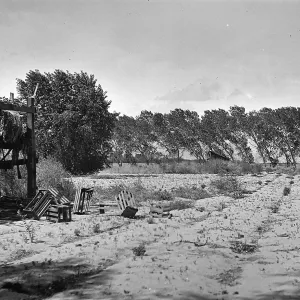 Black and white photograph of a dirt field with a row of trees being blown by the wind in the background and a wooden structure with several overturned crates on the left side.
