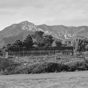 Black and white photograph of an open-air structure with a cluster of trees and a mountain range in the background and a dirt road in the foreground