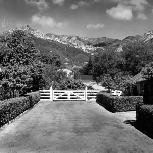 Courtyard with Rhus integrifolia hedge, view of Santa Ynez Mountains