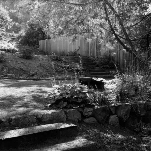 Historic Home Garden in the SBBG Meadow View 