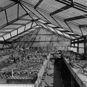 SBBG Horticulture Building, lath house (interior)