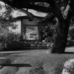 SBBG Information Kiosk (Coastal Live Oak), ï¿½ Josef Muench