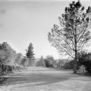 grading changes to Mission Canyon Road, 1948?