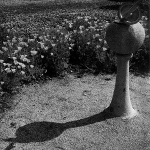 SBBG Meadow with Sundial