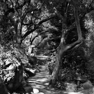 SBBG Arroyo Trail and Island Trail Intersection