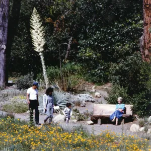 SBBG Visitors, wood bench, Meadow View