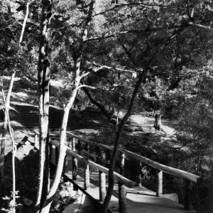 SBBG Campbell Bridge, © Josef Muench