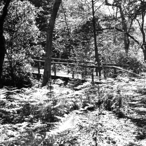 SBBG Campbell Bridge, Mission Creek
