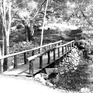 SBBG Campbell Bridge, Mission Creek