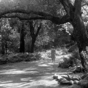 Canyon Section, SBBG, visitor walking in the Garden