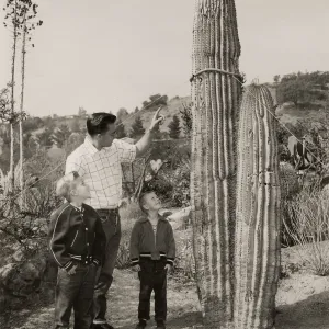 R.L. Williams of the Garden Staff tells his sons, Teddy and Doug, about the new Sagaro Cactus planted in the Desert Section