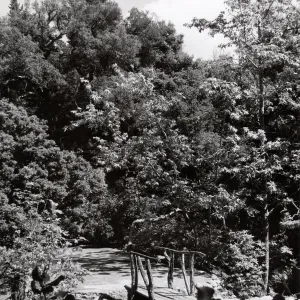 bridge over Mission Dam