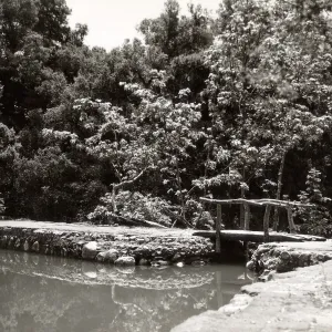 pool above Mission Dam, SBBG