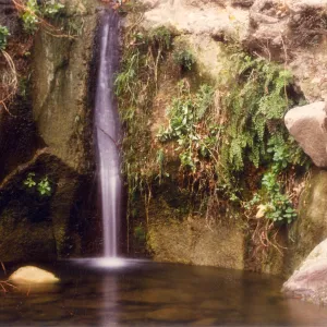 waterfall pool below Mission Dam, SBBG