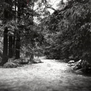 flooding Mission Creek, Spring 1969