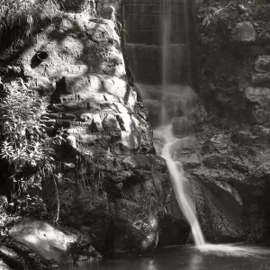 waterfall pool, Mission Dam, SBBG