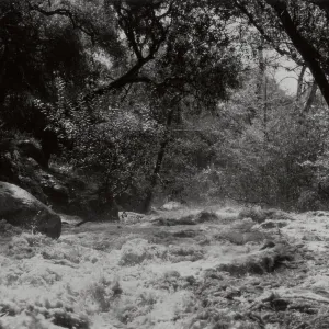 Mission Creek at flood level
