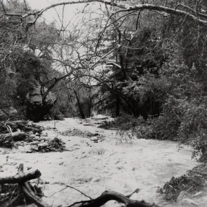 Mission Creek above the Mission Dam, Spring 1969