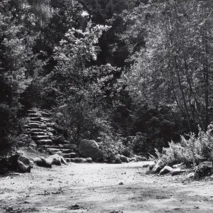 foot of Indian Steps, Redwood Section