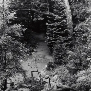 Indian Steps and canyon path, Redwood Section