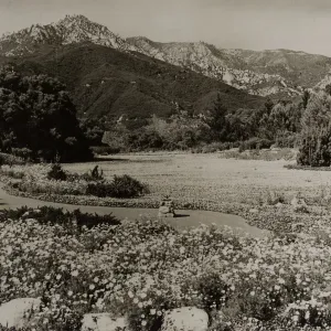 Meadow, 1942