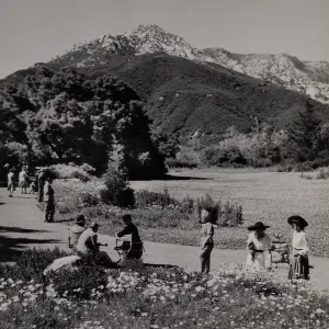 SBBG, Meadow, Members' Day 1944, © Josef Muench