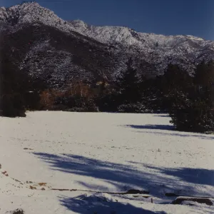 SBBG, Snow in the Meadow, mountain view
