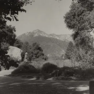 SBBG, Meadow, mountain view
