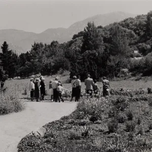 SBBG, Blaksley Boulder and Meadow, Guided Tour