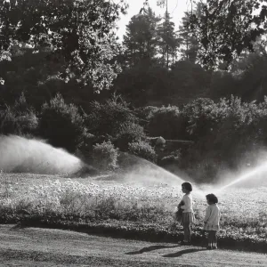 children enjoy the Meadow, overhead irrigation