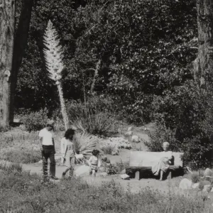 visitors enjoy the Meadow, wood bench
