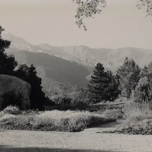 SBBG Meadow, mountain view