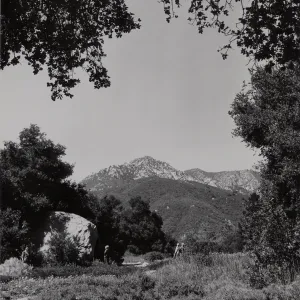 SBBG Meadow, mountain view