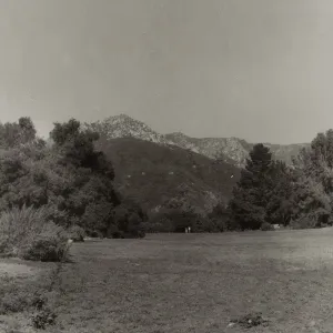 SBBG Meadow, mountain view