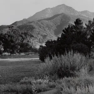Meadow, SBBG